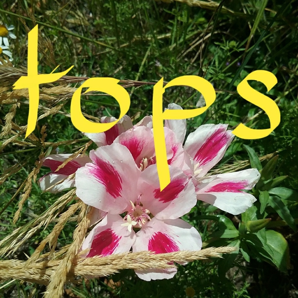 Tops